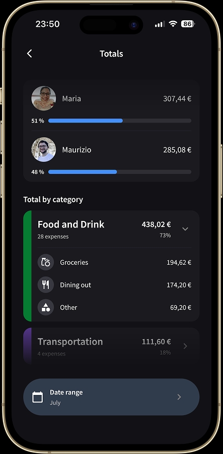 Spending by category and subcategory for the whole group