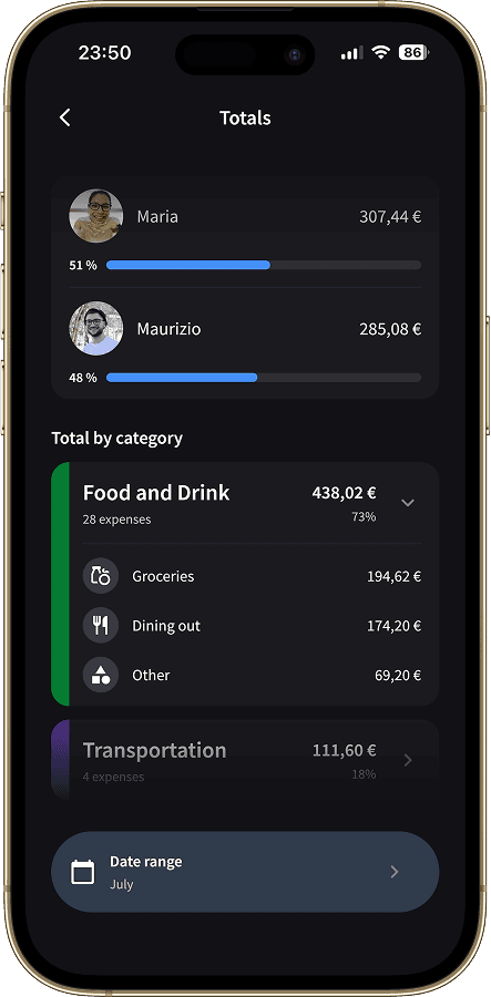 Spending by category and subcategory for the whole group