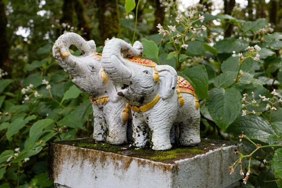 Two elephant statues surrounded by foliage in Thailand.
