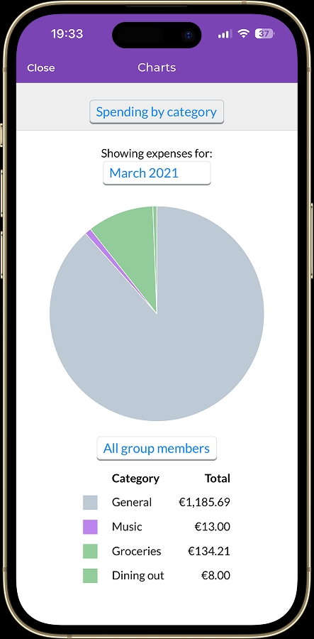 Splitwise statistics showing 88% of expenses in General category