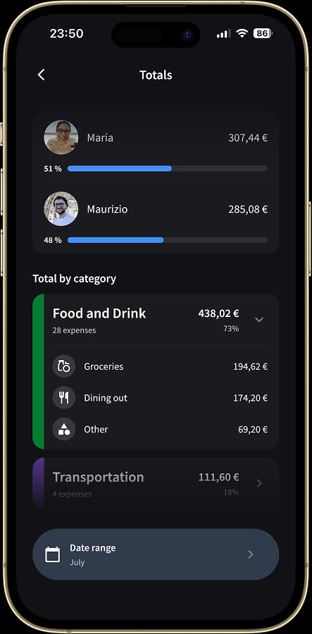 Spending by category and subcategory for the whole group